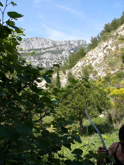 Point de vue du parcours
